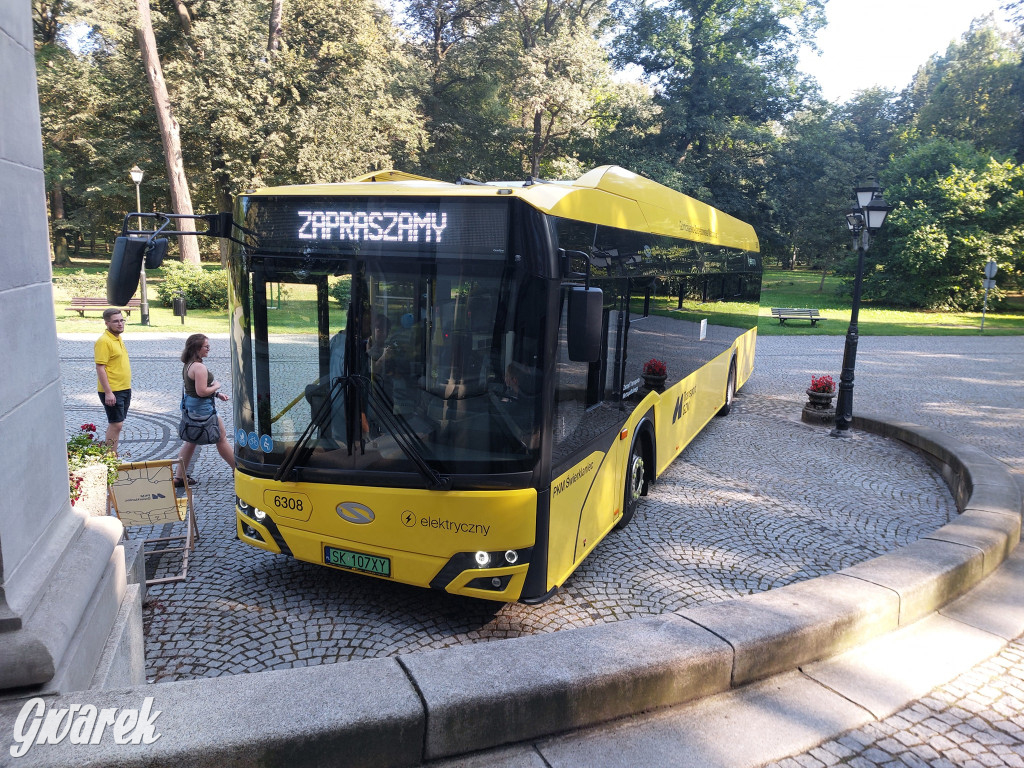 Sobota w świerklanieckim parku. Głosowanie podczas pikniku