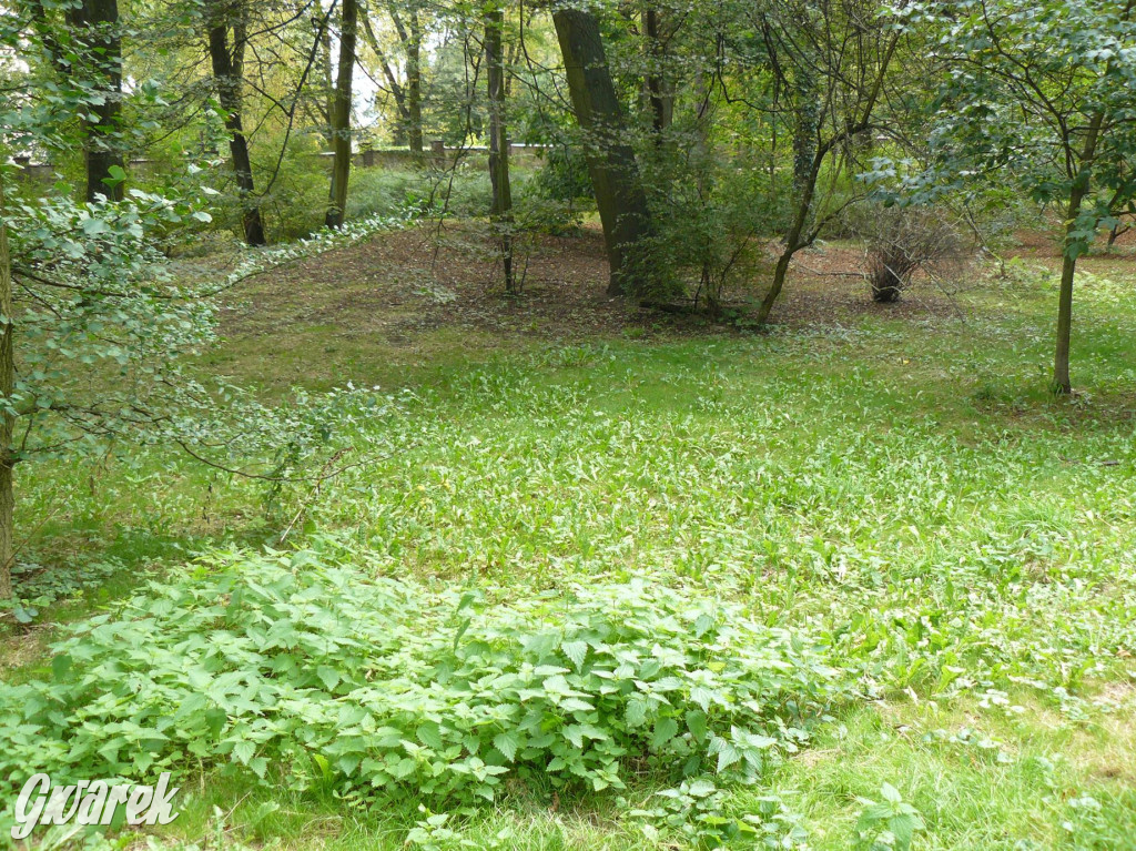 Tarnowskie Góry. Spacer po parku Miejskim [ZDJĘCIA]