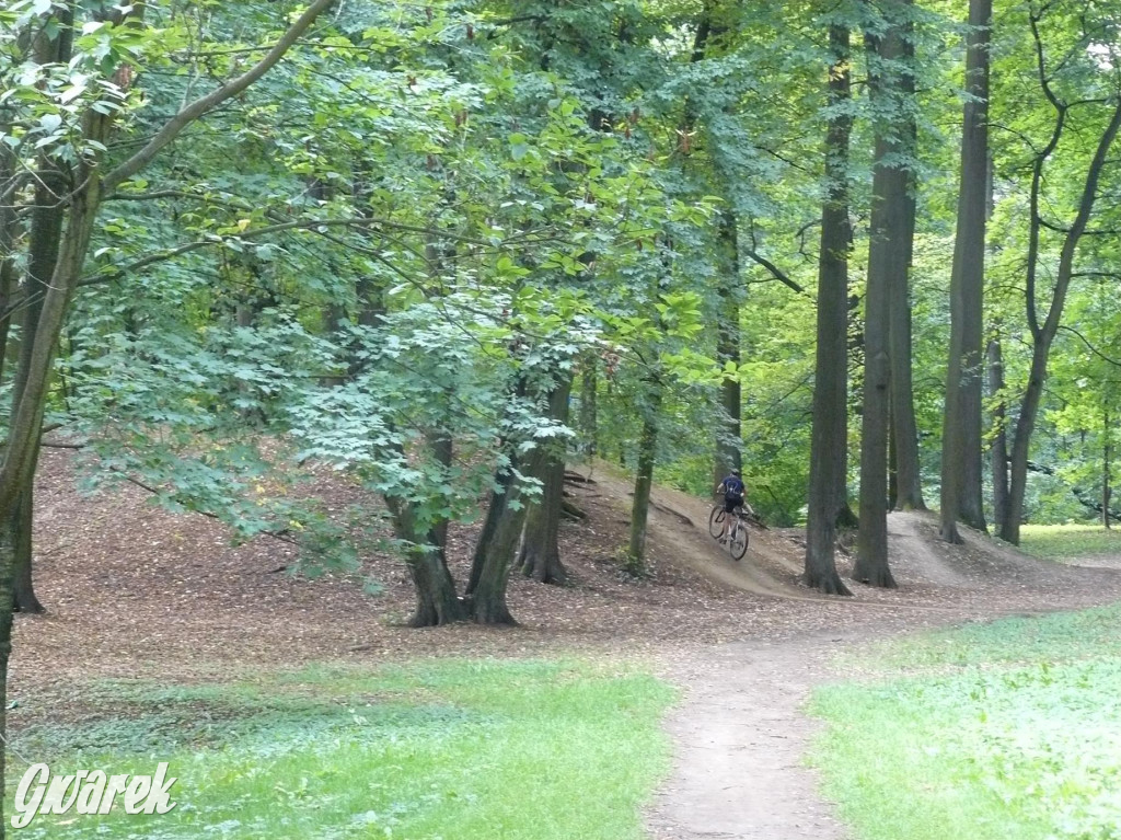 Tarnowskie Góry. Spacer po parku Miejskim [ZDJĘCIA]