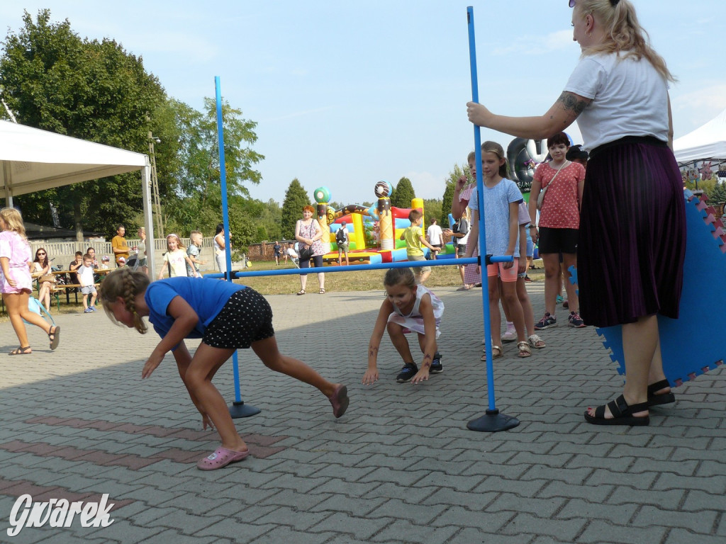 Dobra zabawa na pikniku rodzinnym w Strzybnicy