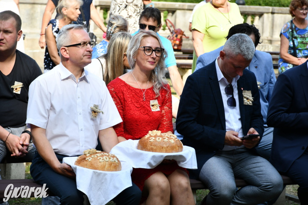 Dożynki i święto kołocza. Ciasto pyszne, Krzysztof Hanke też tak uważa