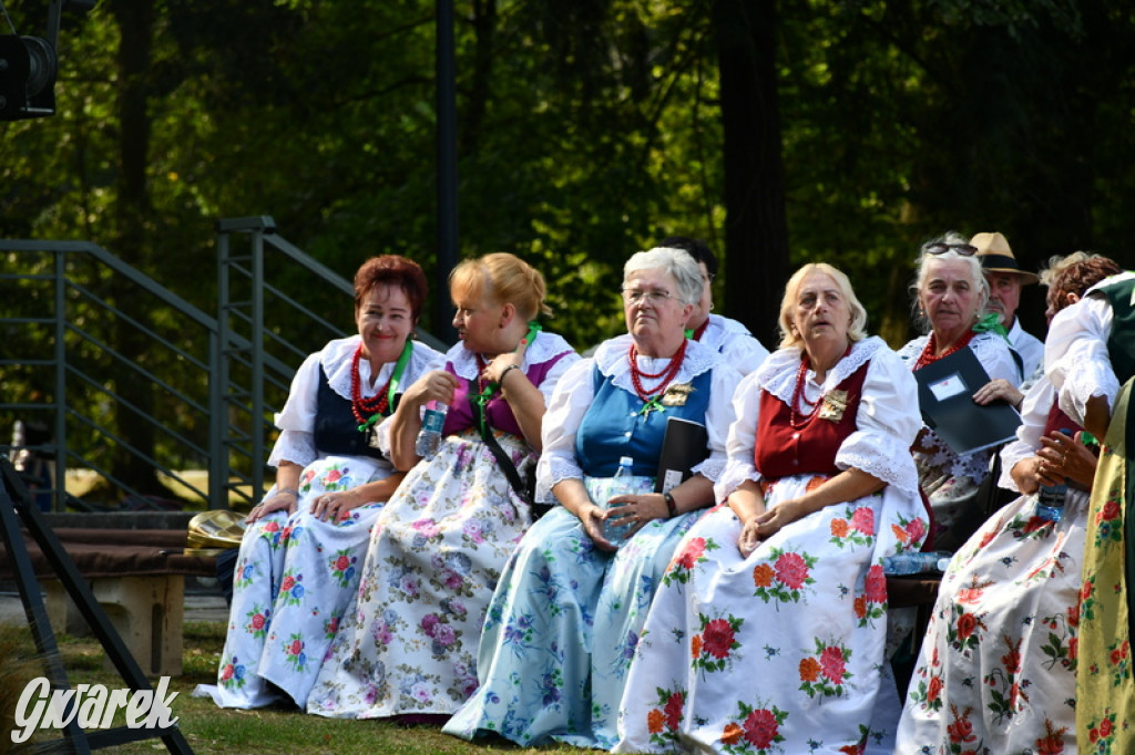 Dożynki i święto kołocza. Ciasto pyszne, Krzysztof Hanke też tak uważa