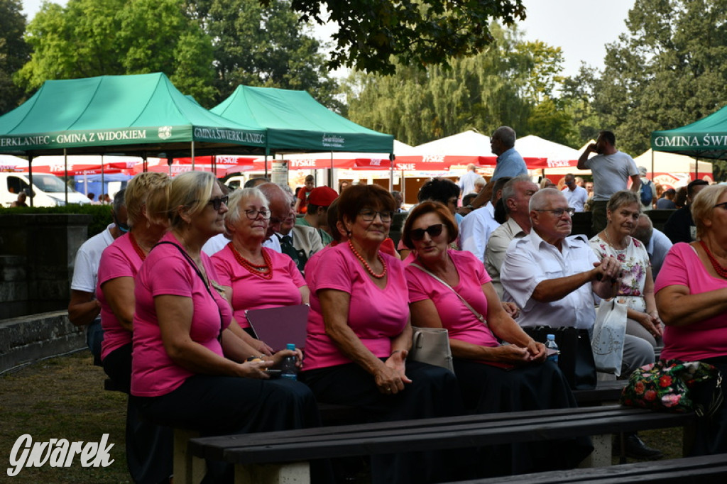 Dożynki i święto kołocza. Ciasto pyszne, Krzysztof Hanke też tak uważa