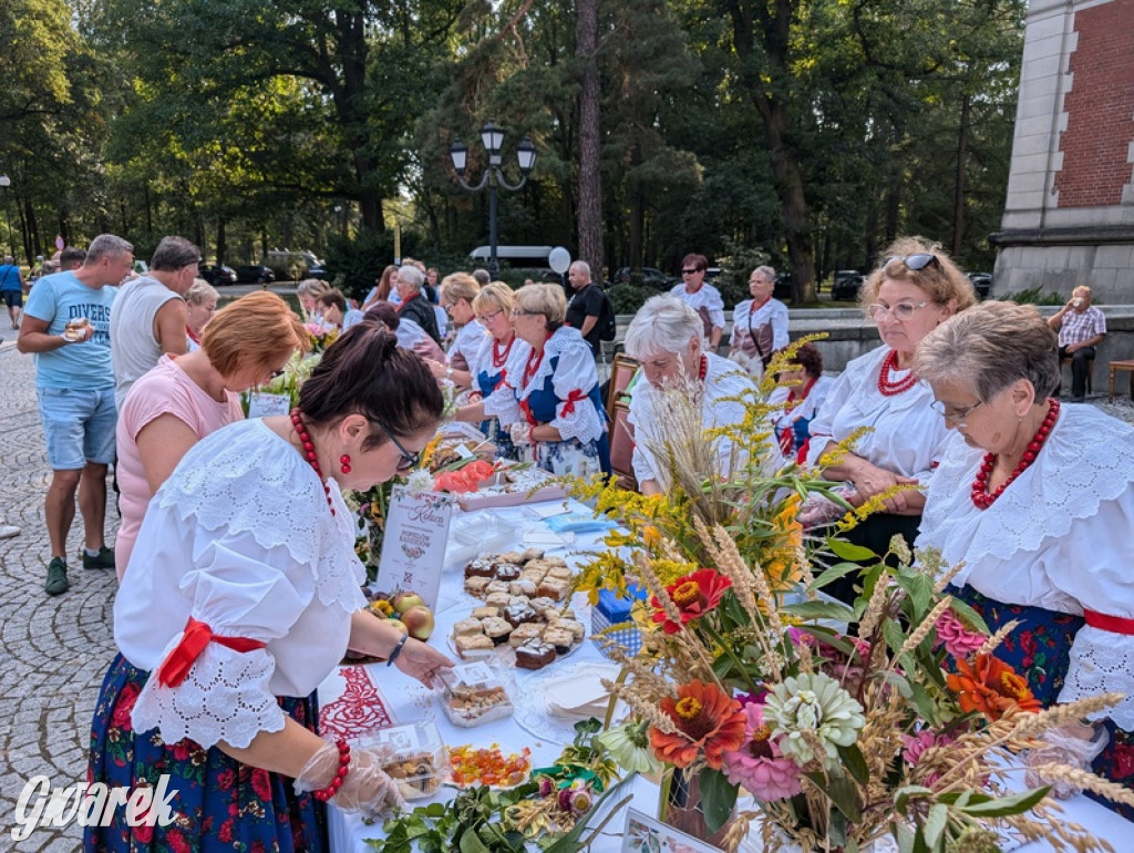 Dożynki i święto kołocza. Ciasto pyszne, Krzysztof Hanke też tak uważa