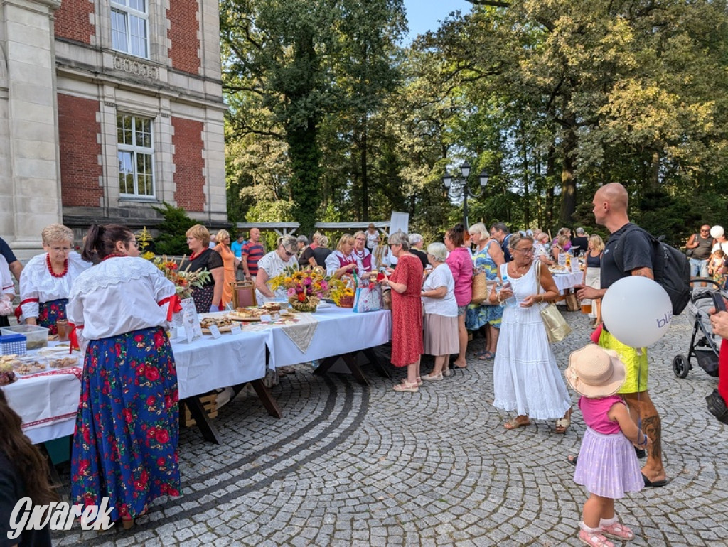 Dożynki i święto kołocza. Ciasto pyszne, Krzysztof Hanke też tak uważa