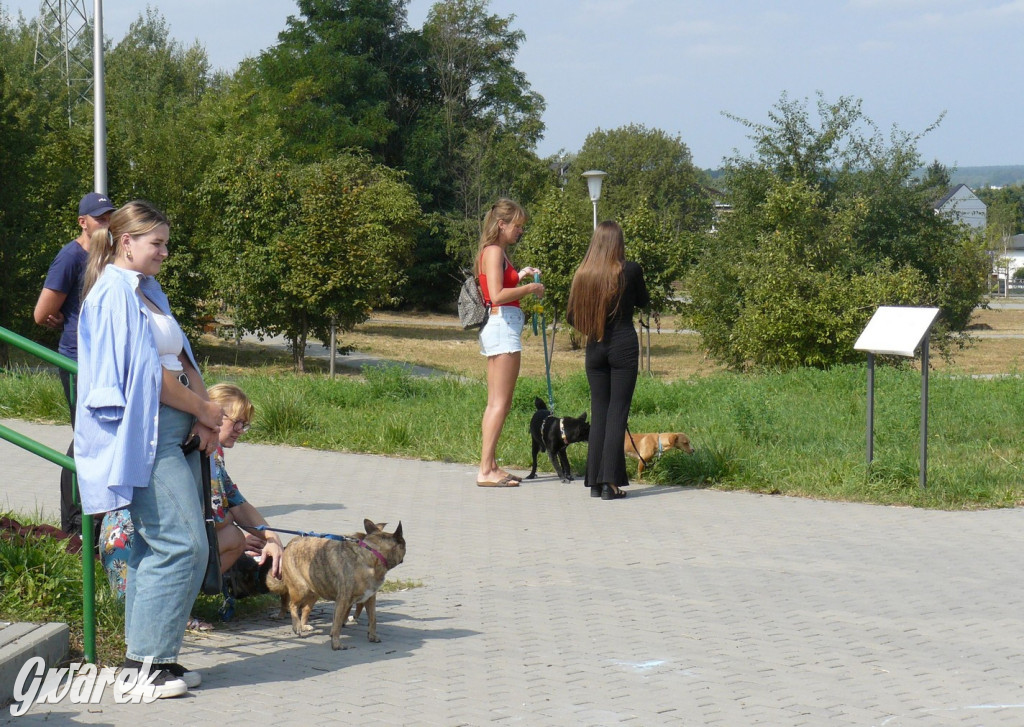 Tarnowskie Góry. Zlot psiaków w piąte urodziny