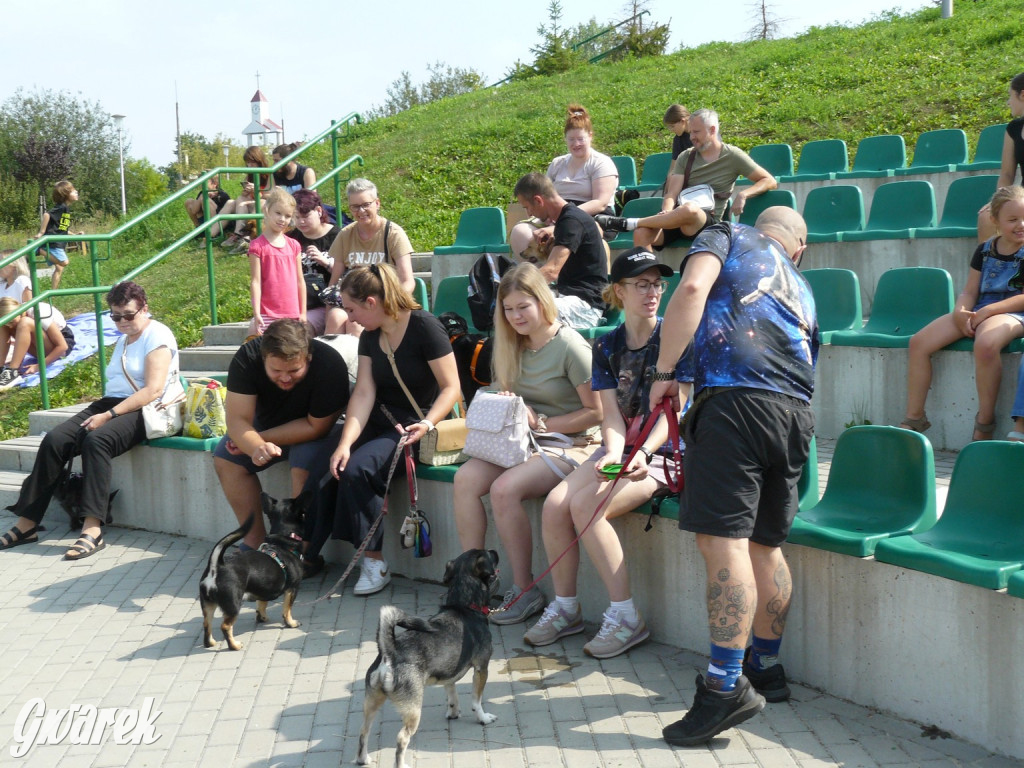 Tarnowskie Góry. Zlot psiaków w piąte urodziny