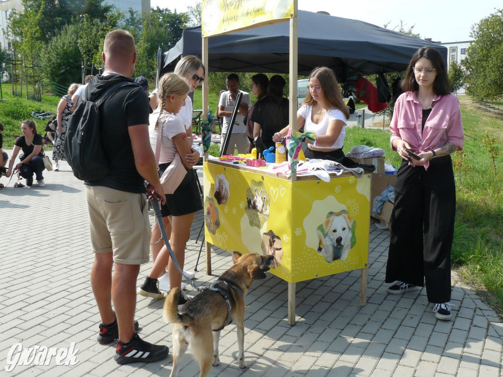 Tarnowskie Góry. Zlot psiaków w piąte urodziny