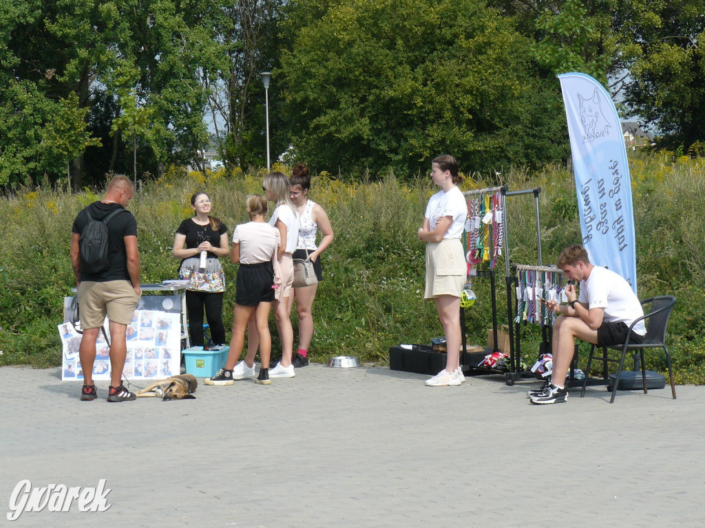 Tarnowskie Góry. Zlot psiaków w piąte urodziny