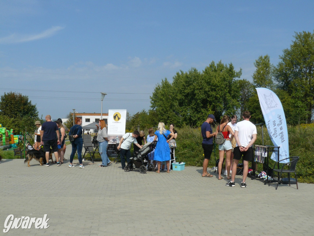 Tarnowskie Góry. Zlot psiaków w piąte urodziny