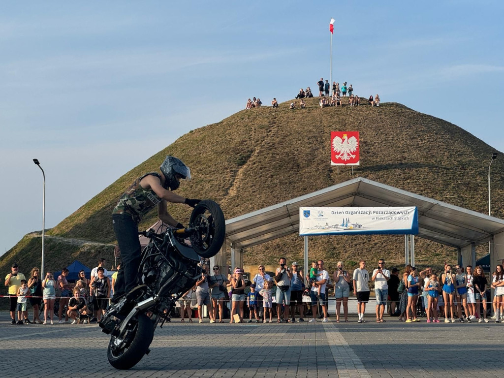 Za nami piknik policyjny pod kopcem [FOTO]