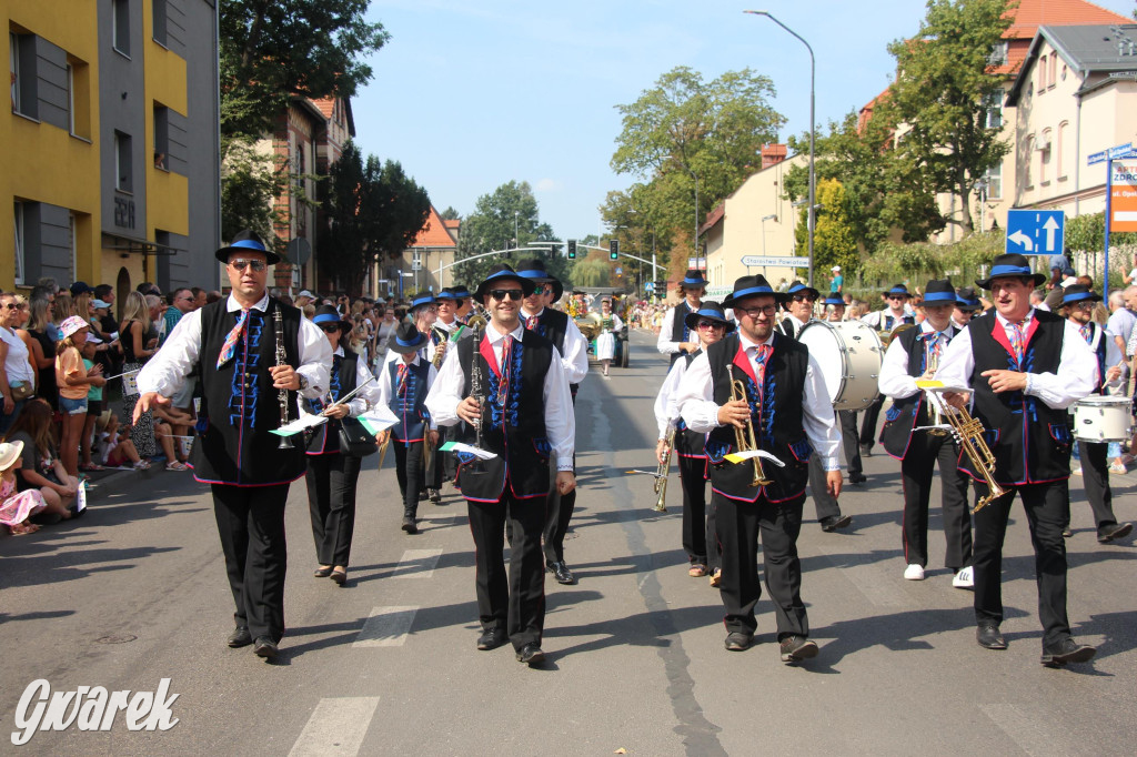 Gwarki i pochód. Było wystrzałowo [GALERIA]