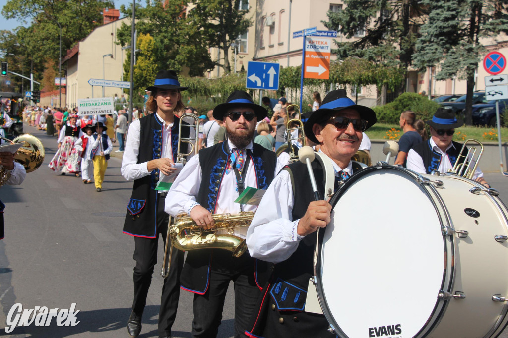 Gwarki i pochód. Było wystrzałowo [GALERIA]