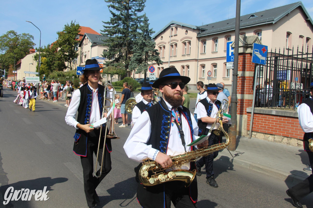 Gwarki i pochód. Było wystrzałowo [GALERIA]