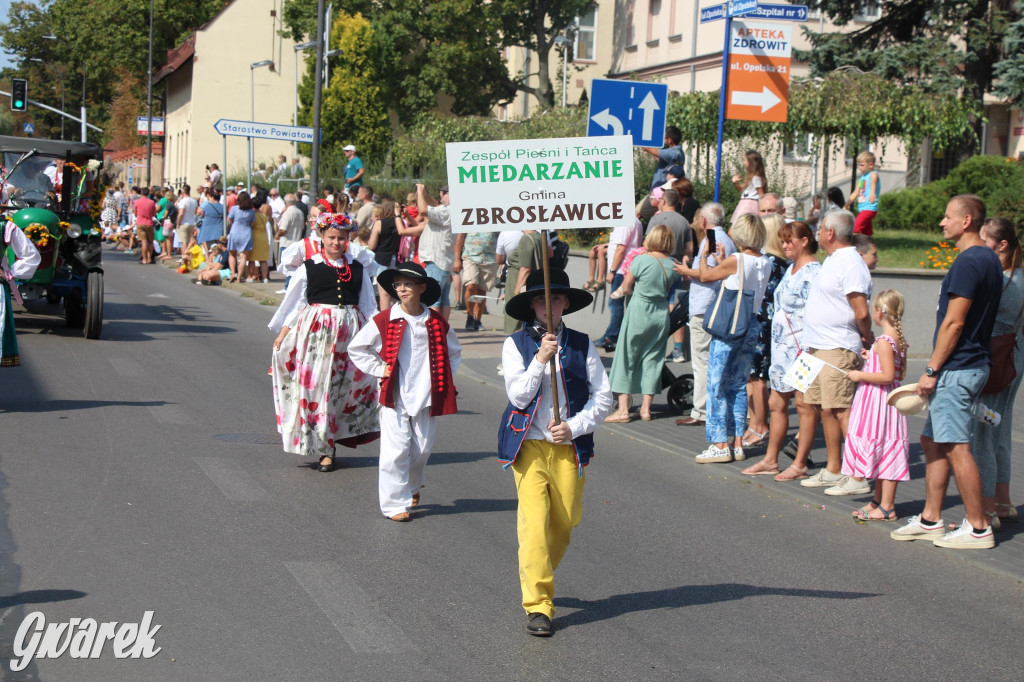 Gwarki i pochód. Było wystrzałowo [GALERIA]