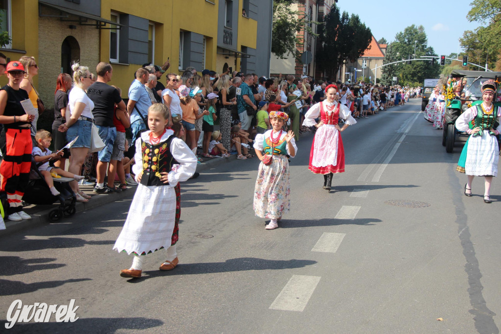 Gwarki i pochód. Było wystrzałowo [GALERIA]