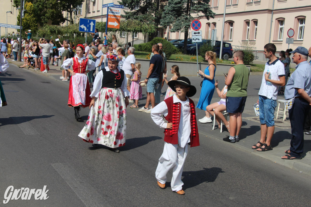 Gwarki i pochód. Było wystrzałowo [GALERIA]