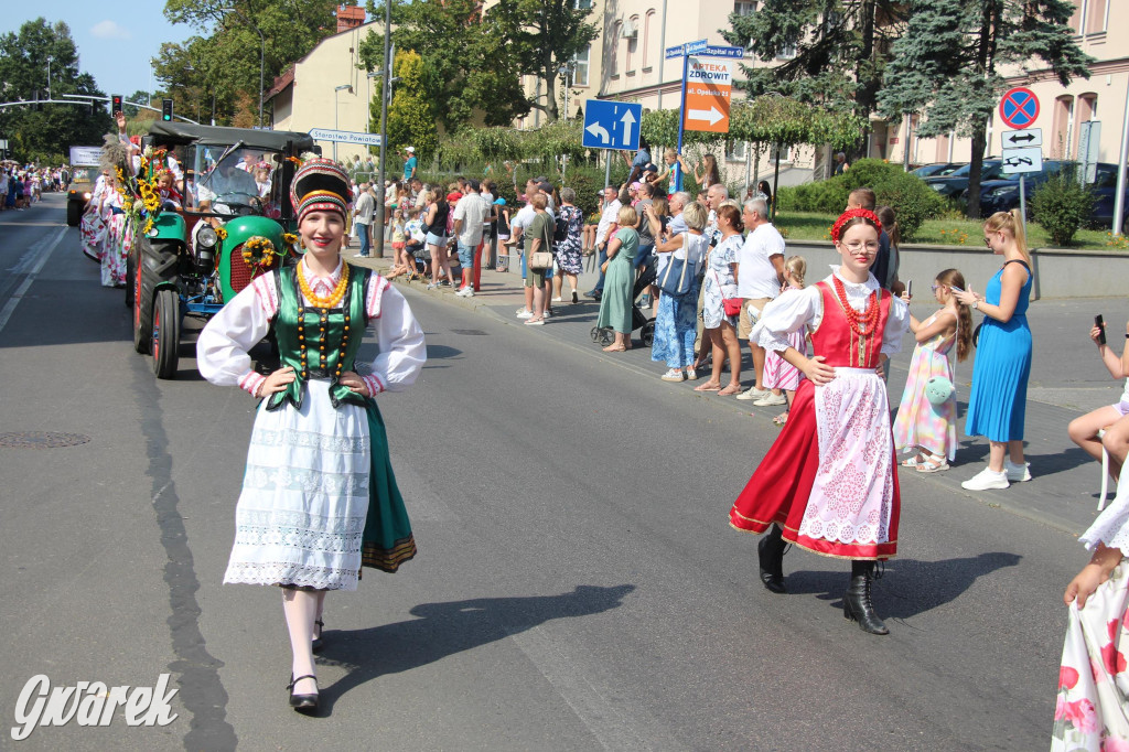 Gwarki i pochód. Było wystrzałowo [GALERIA]