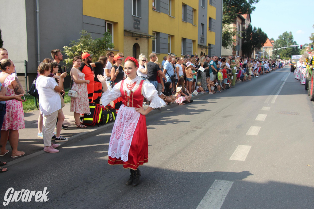 Gwarki i pochód. Było wystrzałowo [GALERIA]