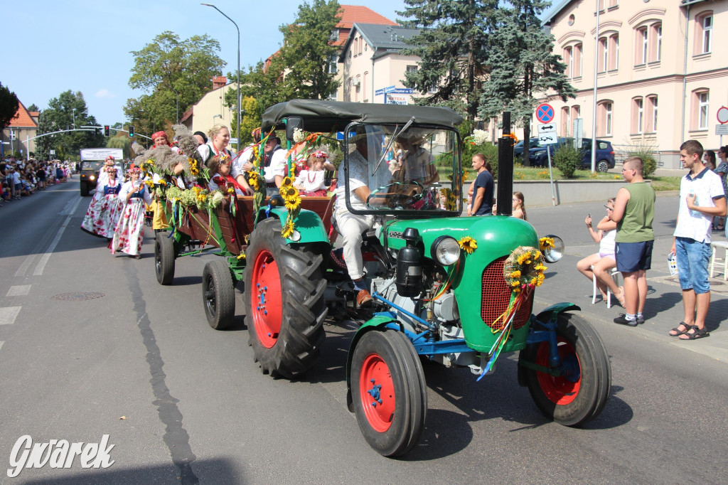 Gwarki i pochód. Było wystrzałowo [GALERIA]