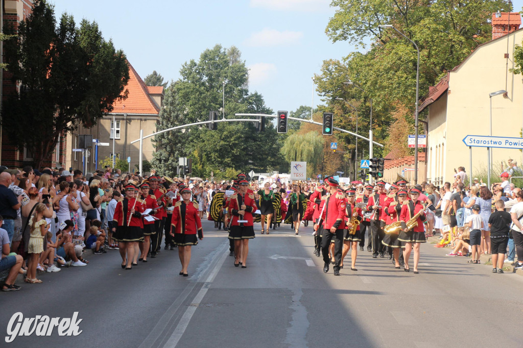 Gwarki i pochód. Było wystrzałowo [GALERIA]