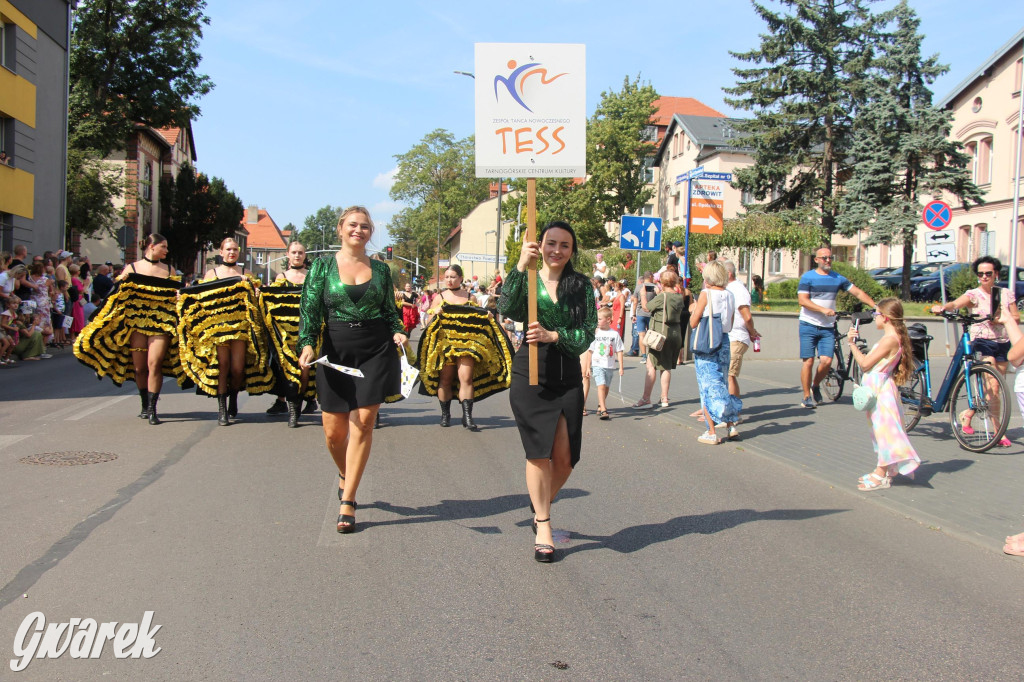 Gwarki i pochód. Było wystrzałowo [GALERIA]