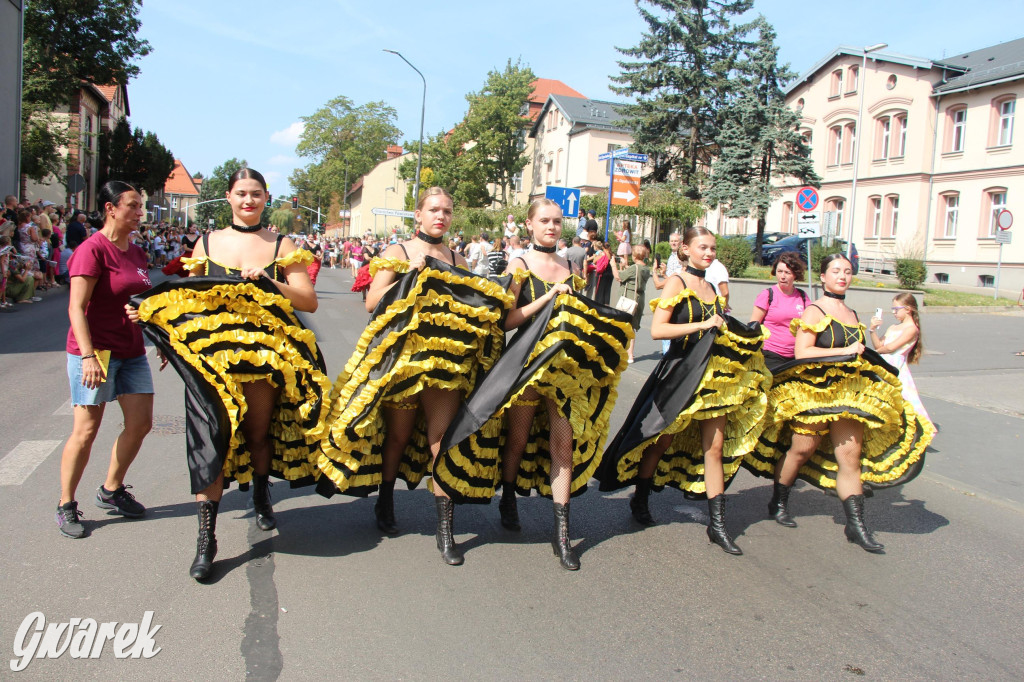 Gwarki i pochód. Było wystrzałowo [GALERIA]