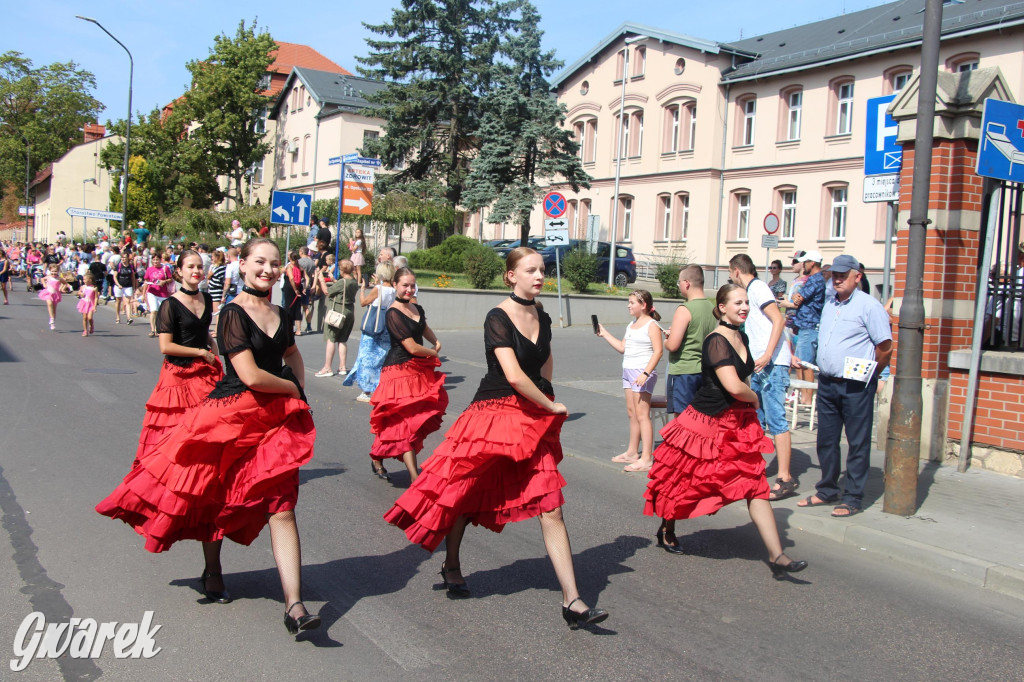 Gwarki i pochód. Było wystrzałowo [GALERIA]