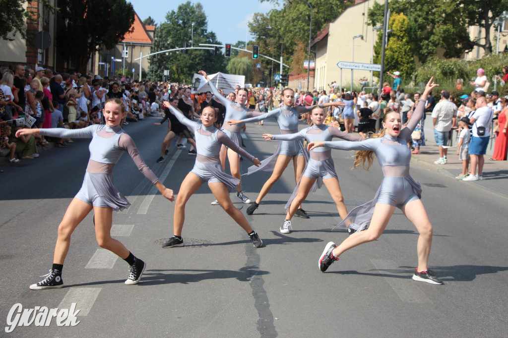 Gwarki i pochód. Było wystrzałowo [GALERIA]