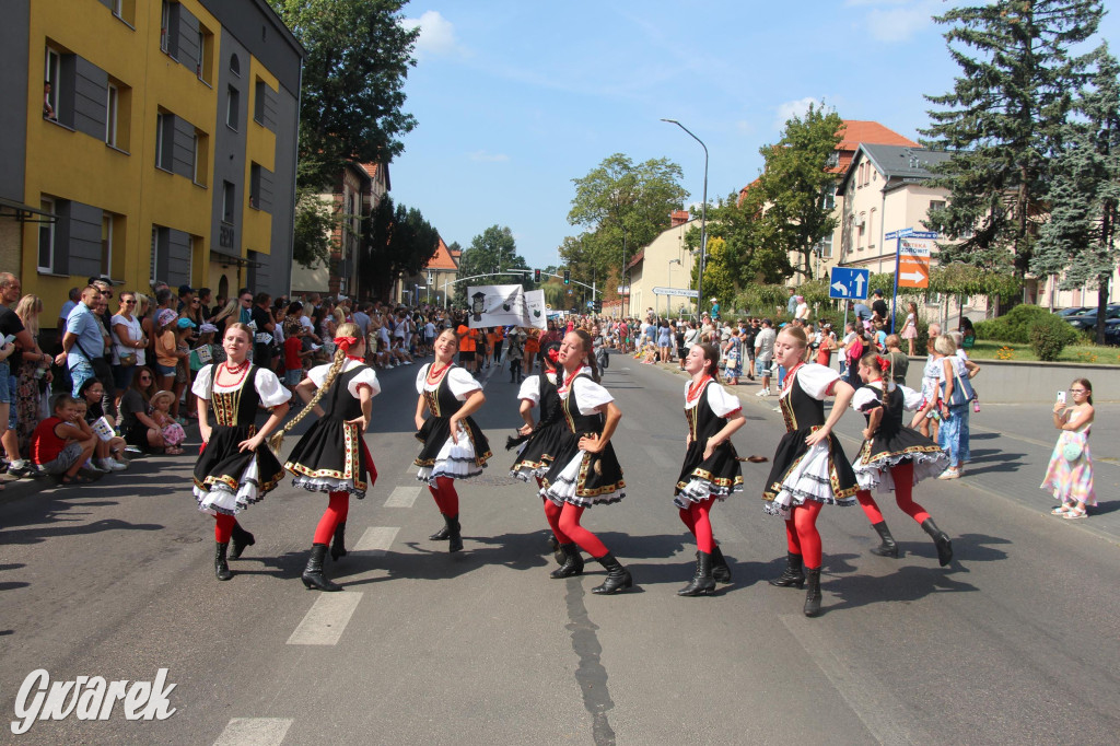 Gwarki i pochód. Było wystrzałowo [GALERIA]