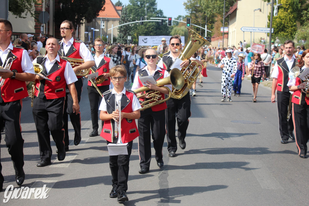 Gwarki i pochód. Było wystrzałowo [GALERIA]