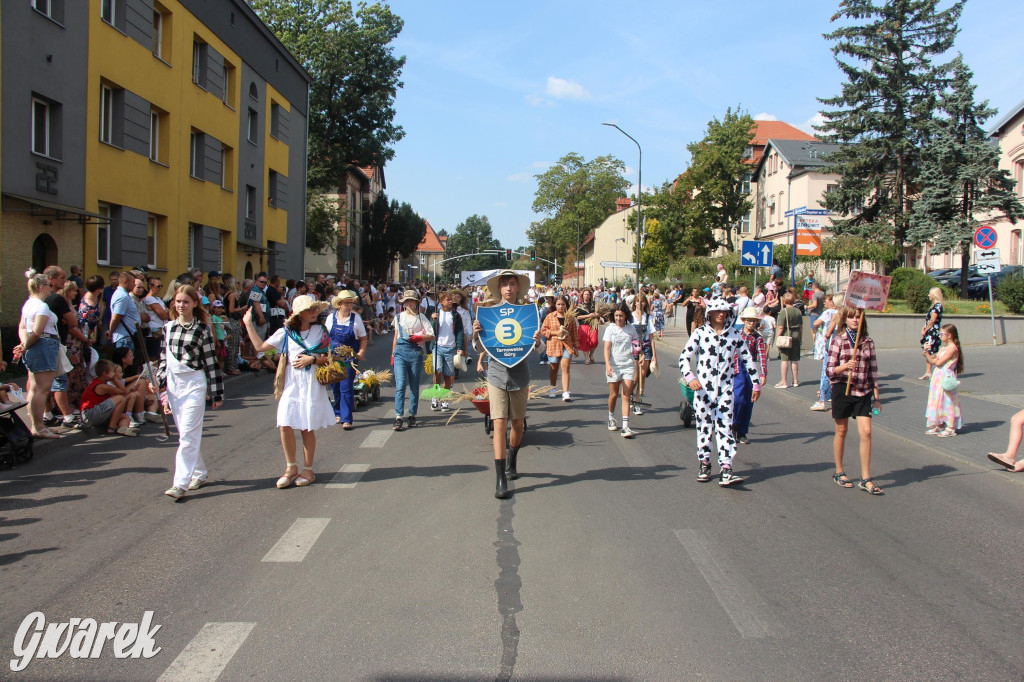 Gwarki i pochód. Było wystrzałowo [GALERIA]