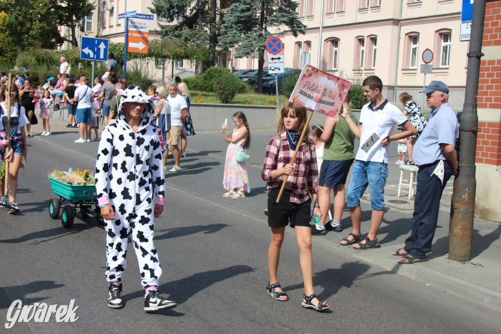 Gwarki i pochód. Było wystrzałowo [GALERIA]