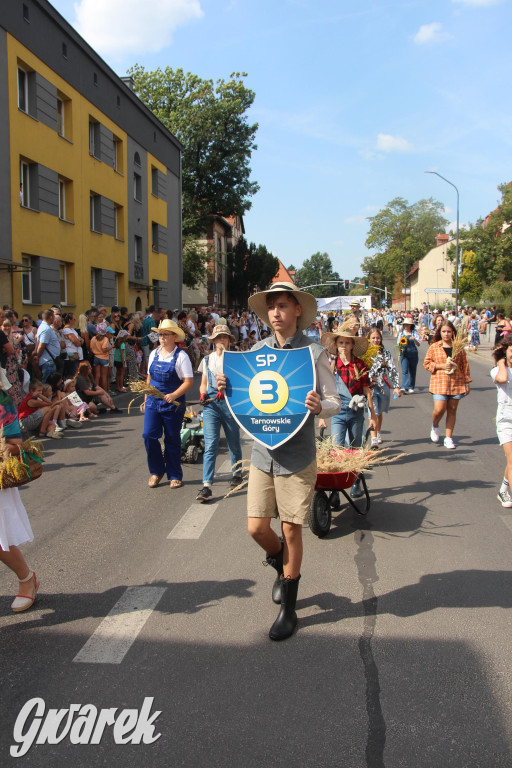 Gwarki i pochód. Było wystrzałowo [GALERIA]