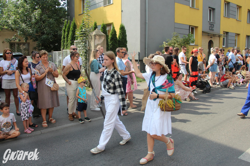 Gwarki i pochód. Było wystrzałowo [GALERIA]