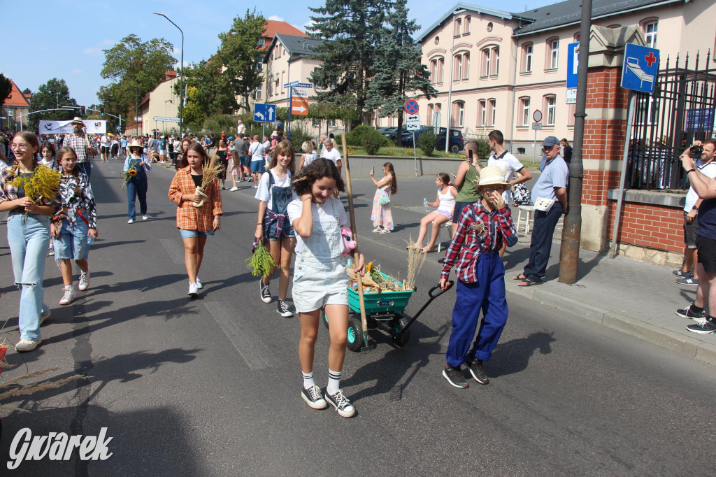 Gwarki i pochód. Było wystrzałowo [GALERIA]