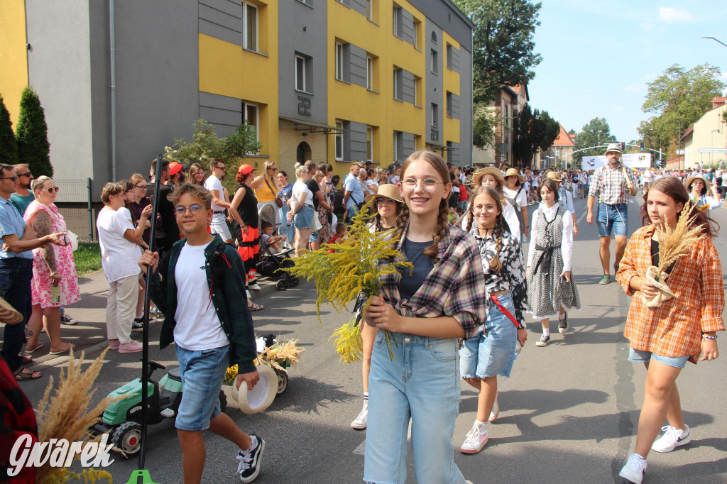 Gwarki i pochód. Było wystrzałowo [GALERIA]