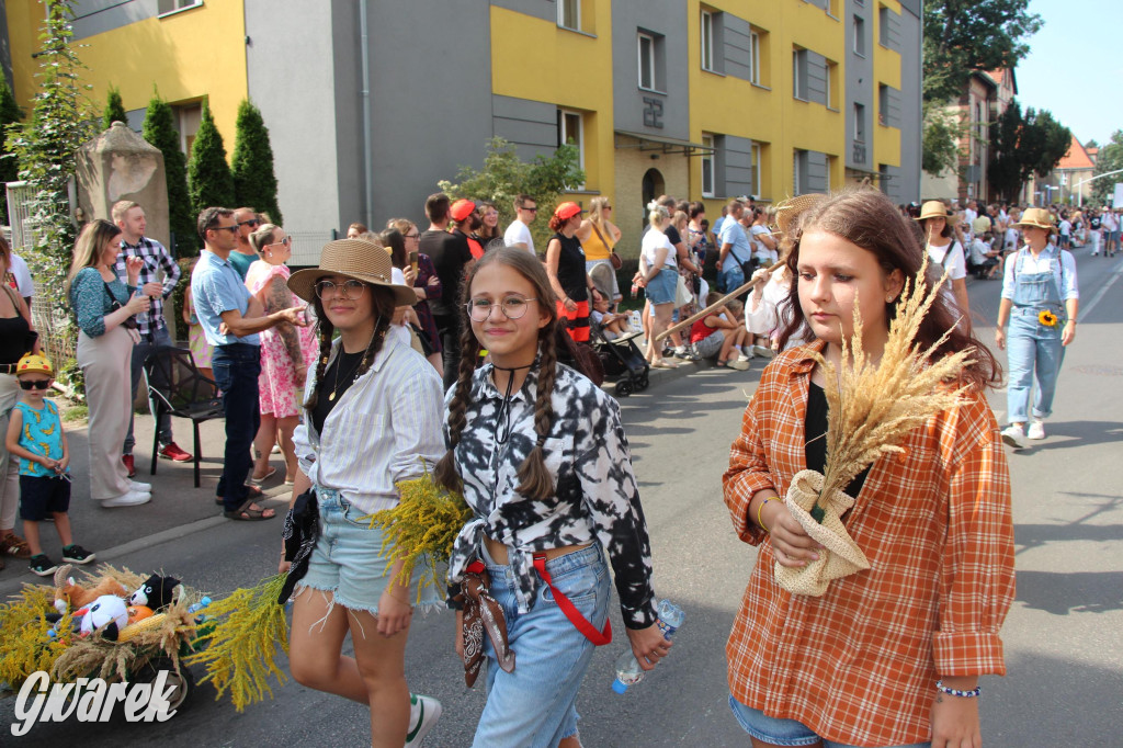 Gwarki i pochód. Było wystrzałowo [GALERIA]