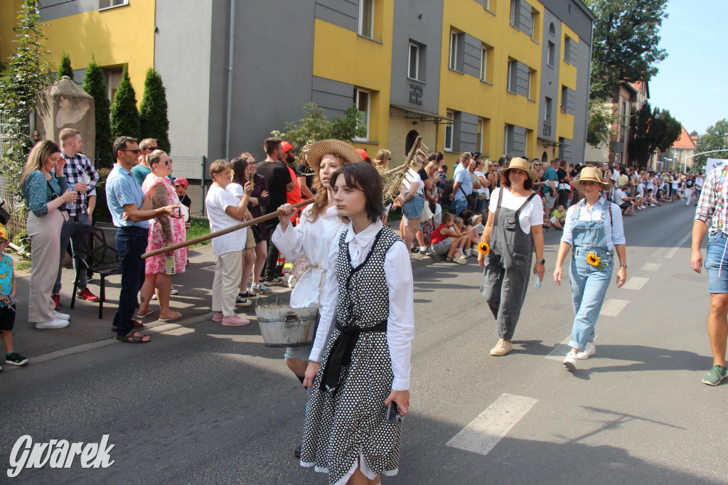 Gwarki i pochód. Było wystrzałowo [GALERIA]