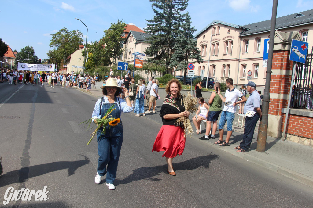 Gwarki i pochód. Było wystrzałowo [GALERIA]