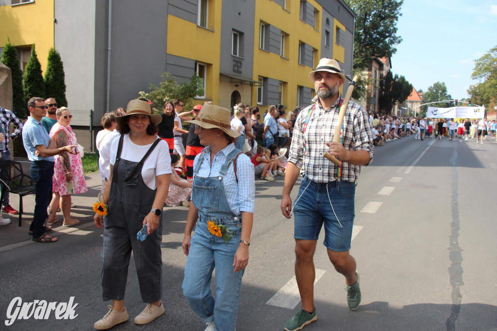 Gwarki i pochód. Było wystrzałowo [GALERIA]