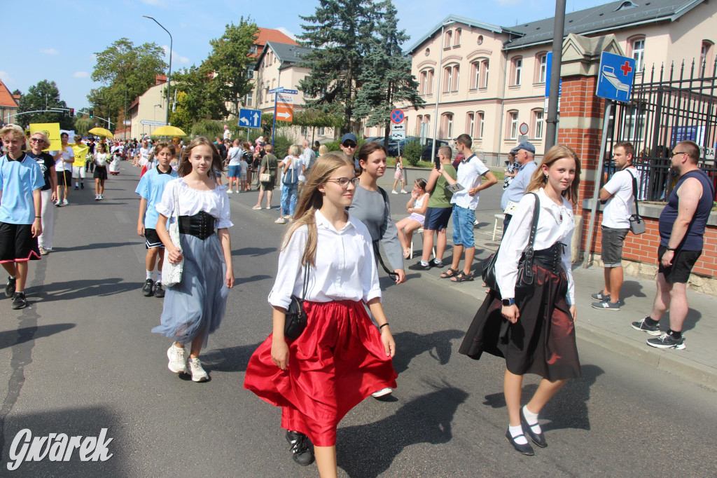 Gwarki i pochód. Było wystrzałowo [GALERIA]