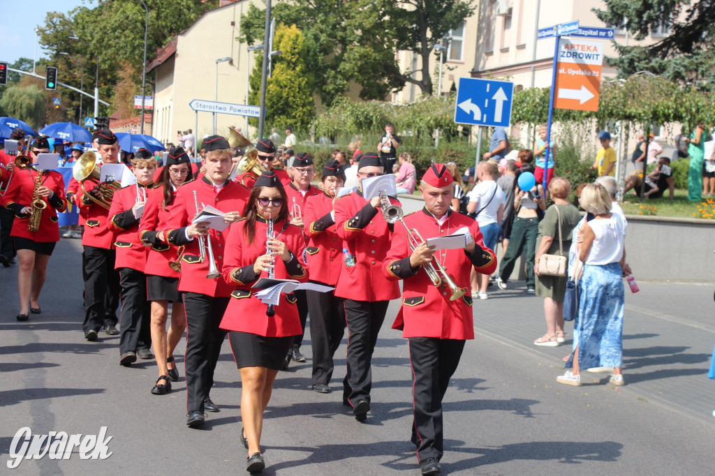 Gwarki i pochód. Było wystrzałowo [GALERIA]