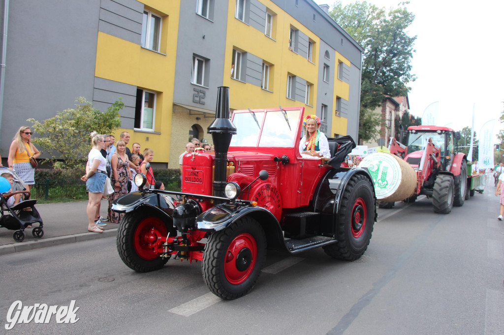 Gwarki i pochód. Było wystrzałowo [GALERIA]