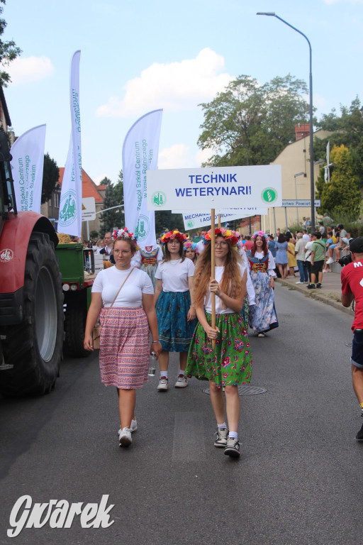 Gwarki i pochód. Było wystrzałowo [GALERIA]