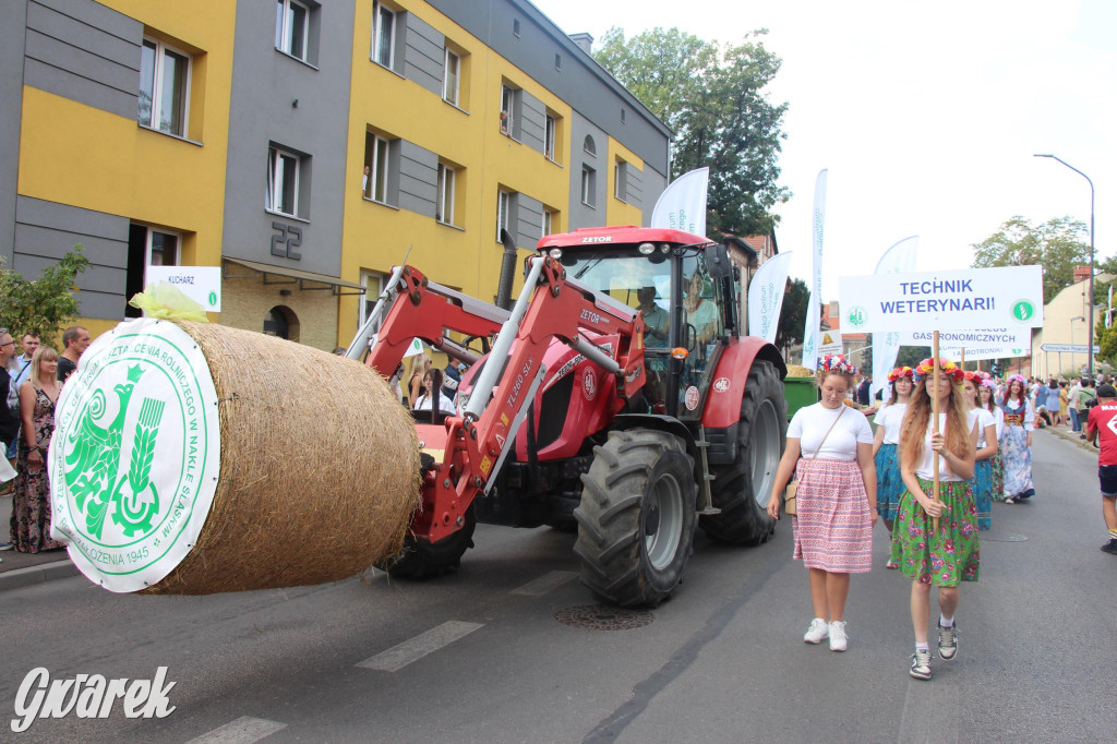 Gwarki i pochód. Było wystrzałowo [GALERIA]