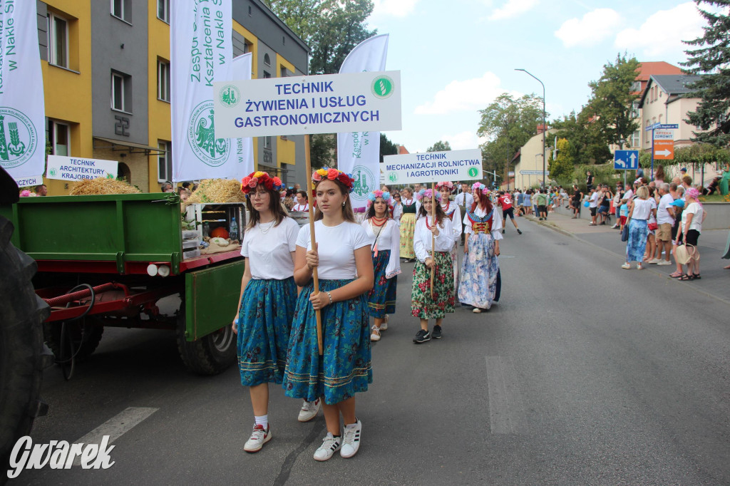 Gwarki i pochód. Było wystrzałowo [GALERIA]