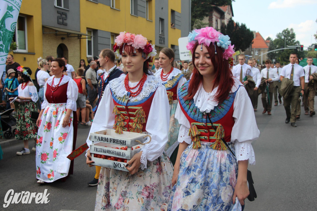 Gwarki i pochód. Było wystrzałowo [GALERIA]