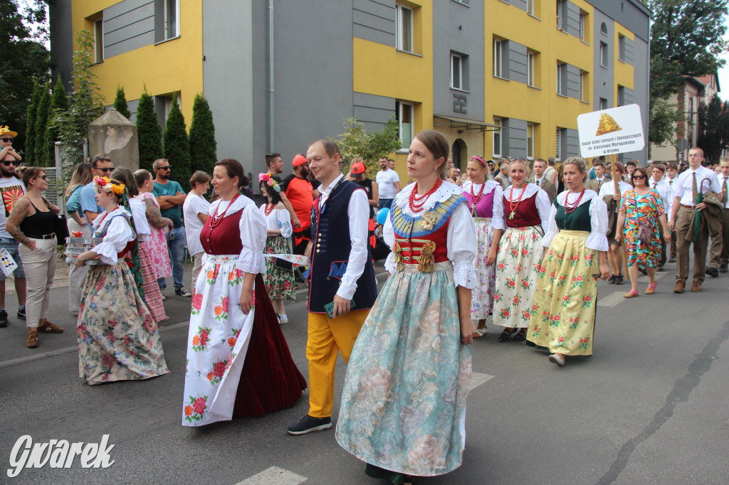 Gwarki i pochód. Było wystrzałowo [GALERIA]