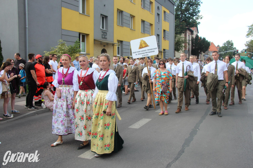 Gwarki i pochód. Było wystrzałowo [GALERIA]